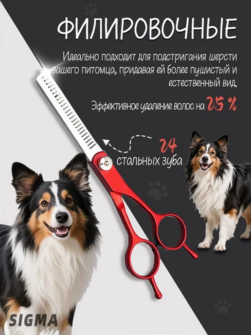 Ножницы для стрижки собак 5 в 1 6 дюймов, вариант, фото 3
