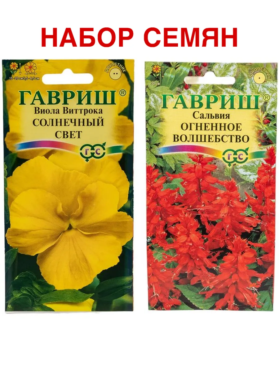 Виолла - солнечный день - 40 фото Виолла - солнечный день - 40 фото