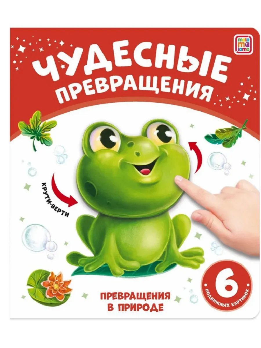 Чудесные превращения. Превращения в природе