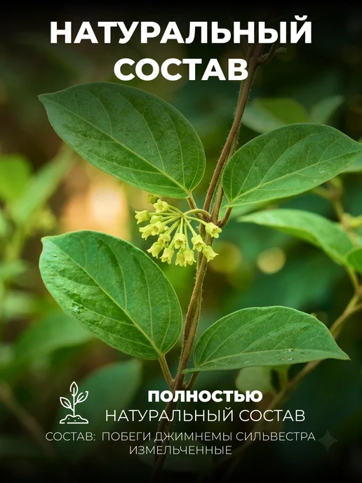 Мед и Конфитюр Джимнема сильвестра побеги 50 гр, 50 г, фото 3