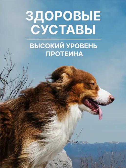 Сухой корм NERO GOLD Super Premium для собак, щенки, ягненок, 20 кг, фото 3