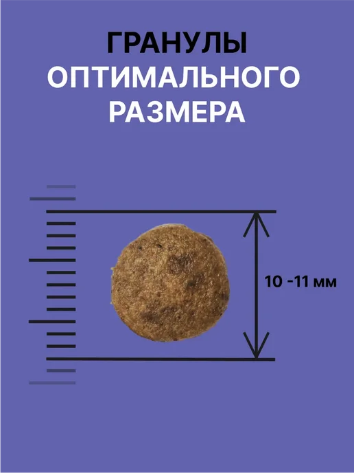 Сухой корм NERO GOLD Super Premium для собак, щенки, ягненок, 20 кг, фото 4