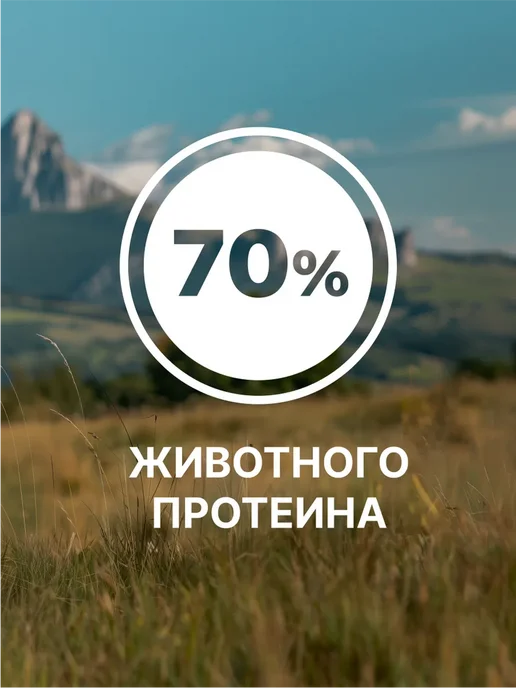 Сухой корм NERO GOLD Super Premium для собак, щенки, ягненок, 20 кг, фото 6