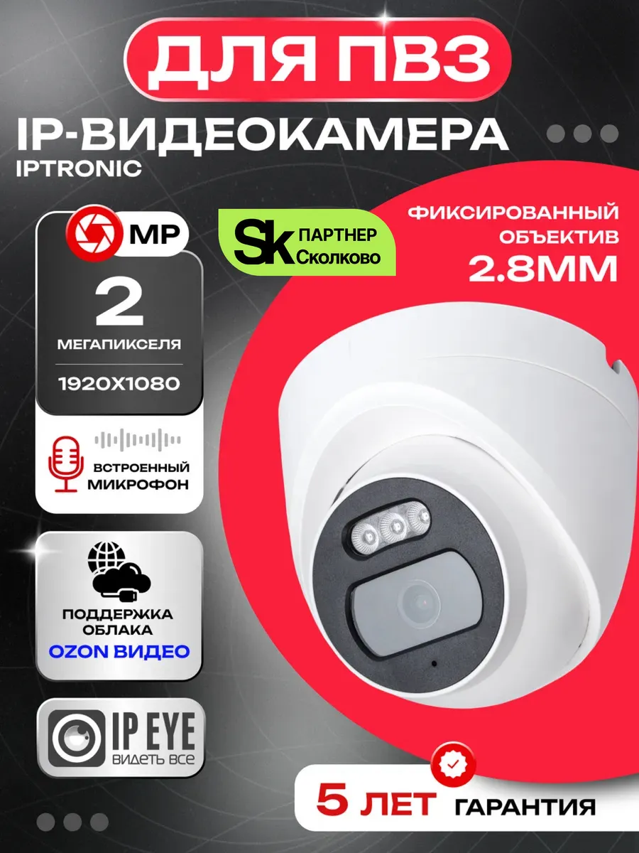 Купольная ip-камера видеонаблюдения для ПВЗ ECO