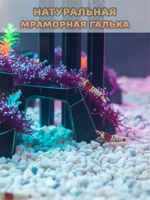 StoneBro Грунт для аквариума галька 3-10мм 1кг, 1 кг, фото 2