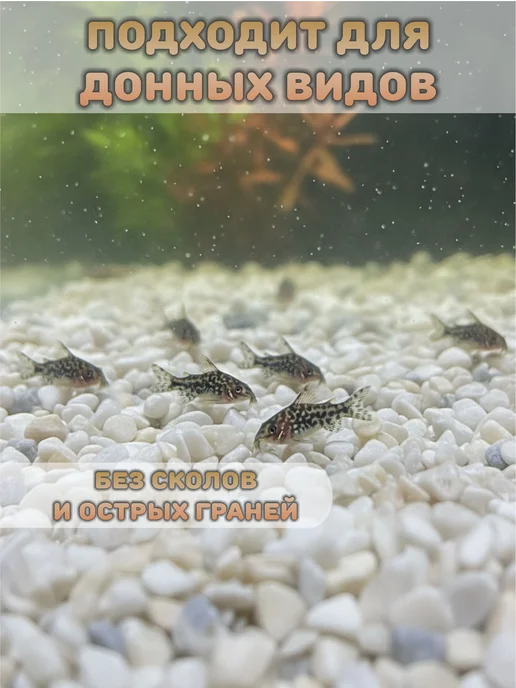 StoneBro Грунт для аквариума галька 3-10мм 1кг, 1 кг, фото 3
