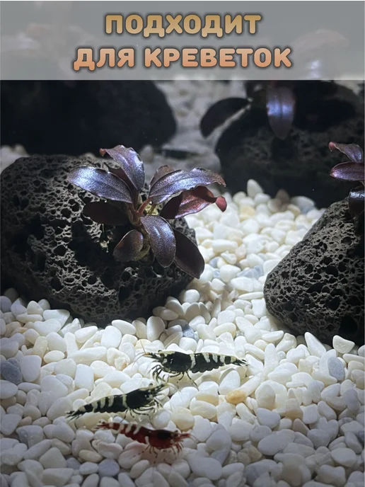 StoneBro Грунт для аквариума галька 3-10мм 1кг, 1 кг, фото 5