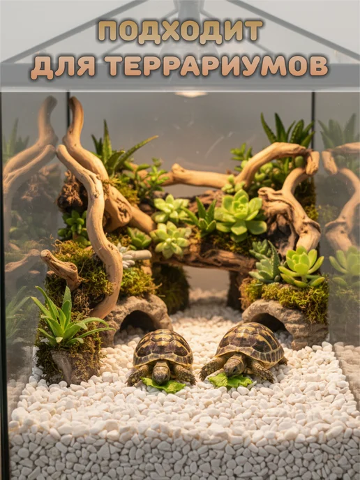 StoneBro Грунт для аквариума галька 3-10мм 1кг, 1 кг, фото 6