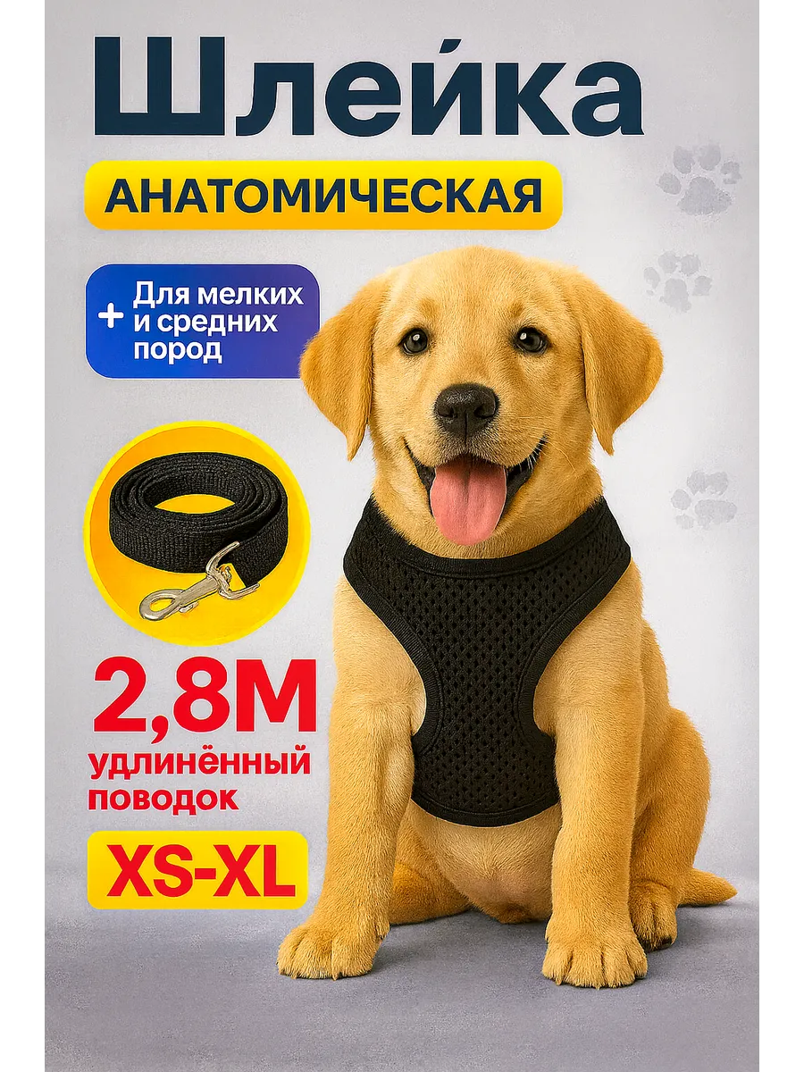 Шлейка для собак