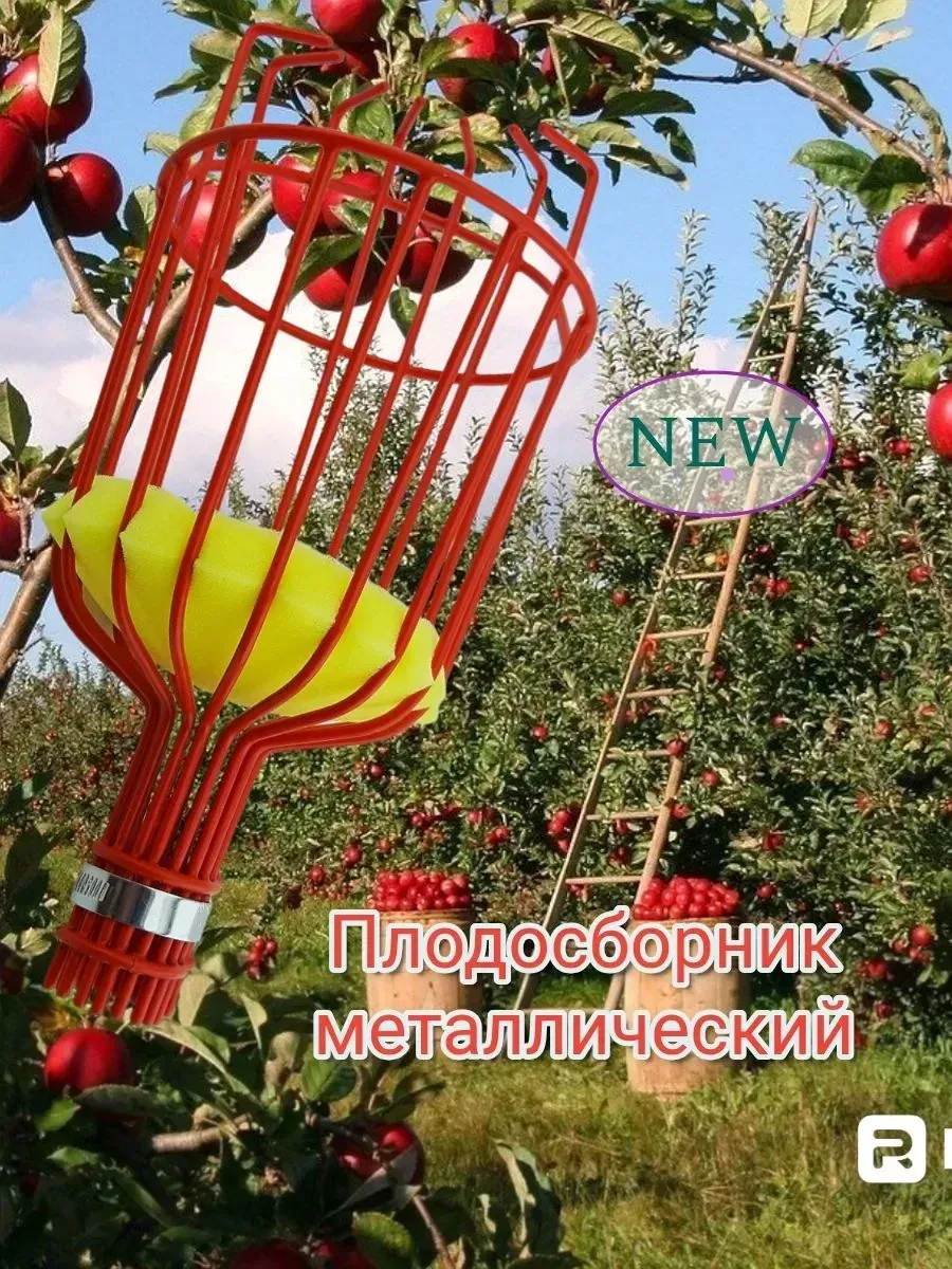 Сборщик фруктов