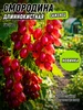 Интернет‑магазин Wildberries: широкий ассортимент товаров - скидки каждый день!
