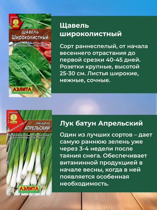Агрофирма АЭЛИТА Семена зелени набор 10 шт, 10 шт, фото 4