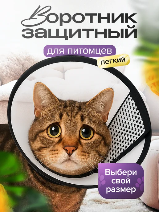 QOOLLE Воротник ветеринарный для кошек и собак, вариант