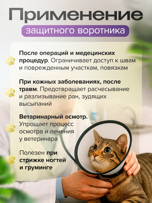 QOOLLE Воротник ветеринарный для кошек и собак, вариант, фото 3