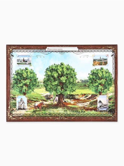 frotorspla Родословная книга Семейная летопись 16.5x24 см, 16.5x24 см, фото 4