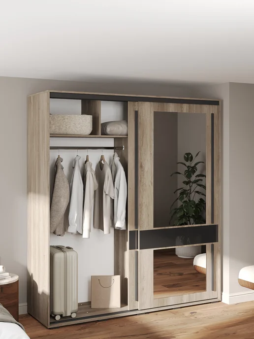 Правила мебели Шкаф-купе Олаф 2 Дуб Каньон Черный Зеркало, черный, фото 4