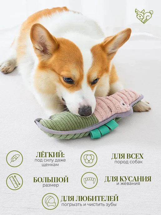 Игрушка грызунок для средних и крупных пород собак, зеленый, фото 2