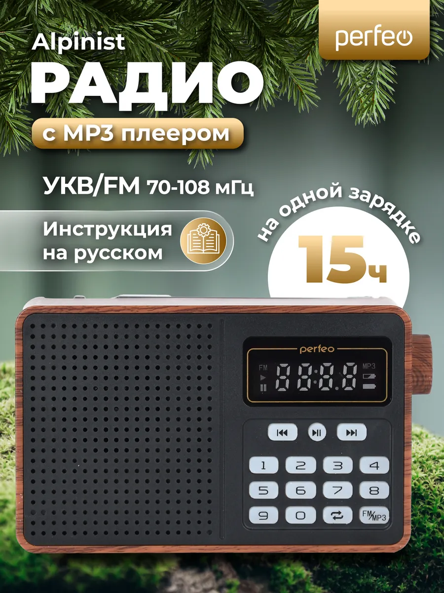 Радиоприемник цифровой Alpinist с MP3 и аккумулятором