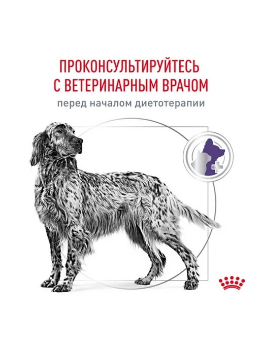 Сухой корм Royal canin Neutered для собак, взрослые, средние, 9 кг, фото 6