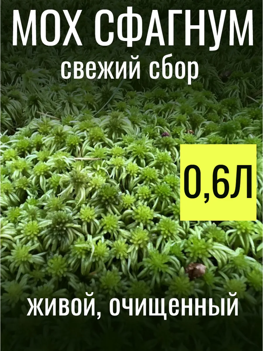Мох сфагнум для растений и террариумов 0 6 литра