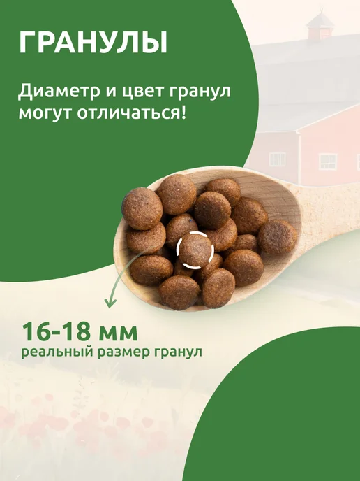 Сухой корм Statera для собак, крупные, средние, ягненок, 2 кг, фото 2