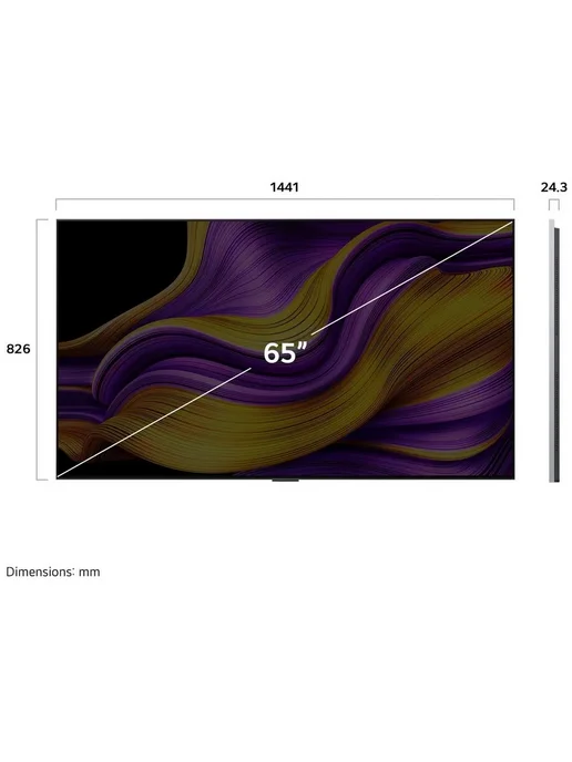 Телевизор LG OLED65G5RLA.ARUG, серый, фото 3