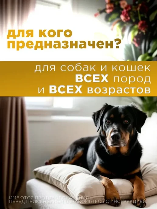 veda Таблетки для собак и кошек фитоэлита метастоп, 50 шт, 50 шт, фото 4