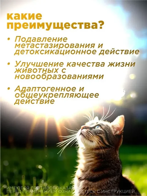 veda Таблетки для собак и кошек фитоэлита метастоп, 50 шт, 50 шт, фото 5