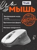 Мышь MW-44 Wireless Charge Canyon 577913068 купить за 3 695 ₽ в интернет‑магазине Wildberries