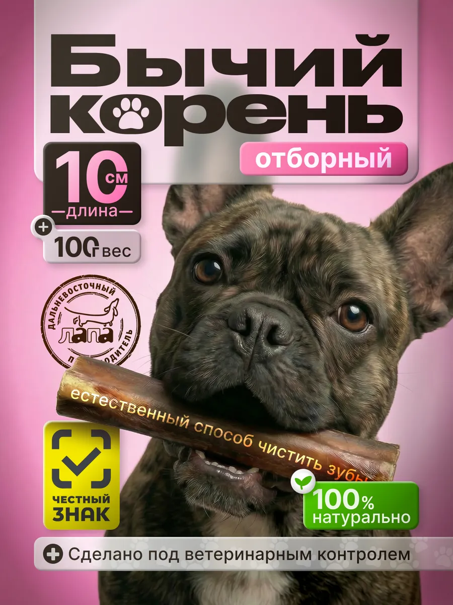 Бычий корень, лакомство для собак, 10 см