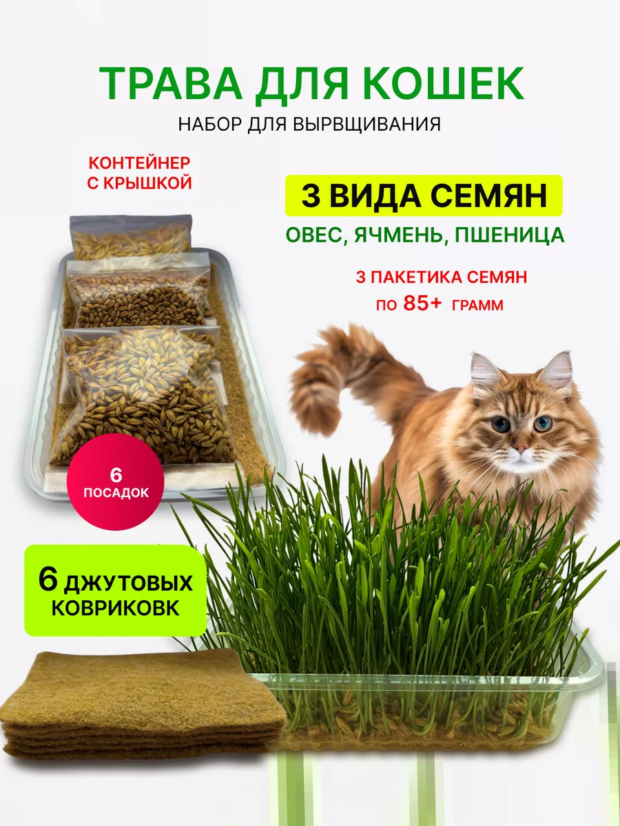 Трава для кошек. Набор для выращивания травы 3 вида семян
