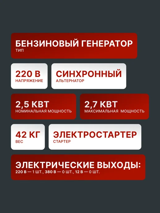 Бензиновый генератор 2,5 квт DY3000LX — фото 2