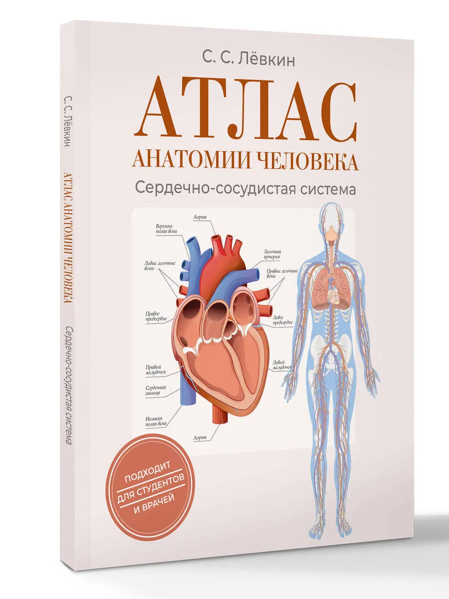 Атлас анатомии человека.