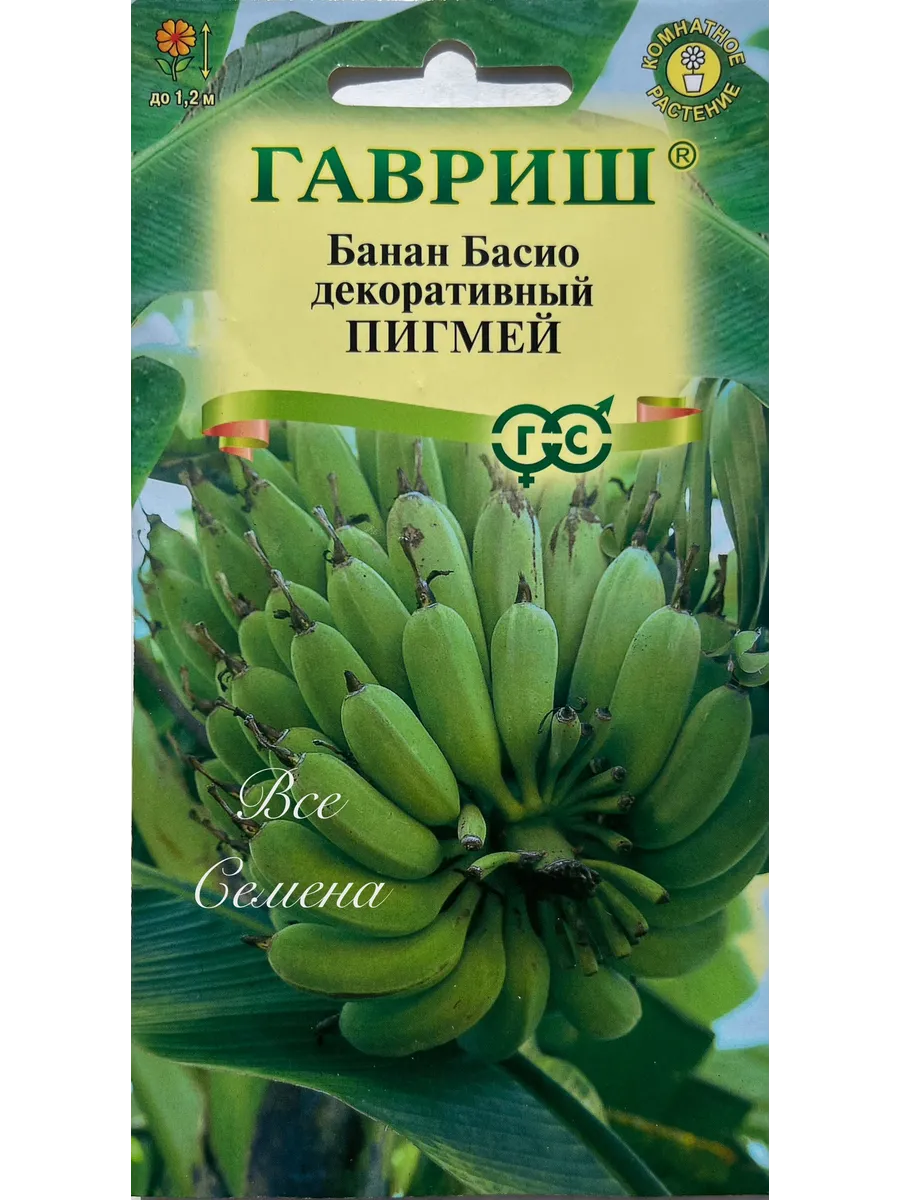 Банан Басио декоративный Пигмей, 1 пак, семена 3 шт