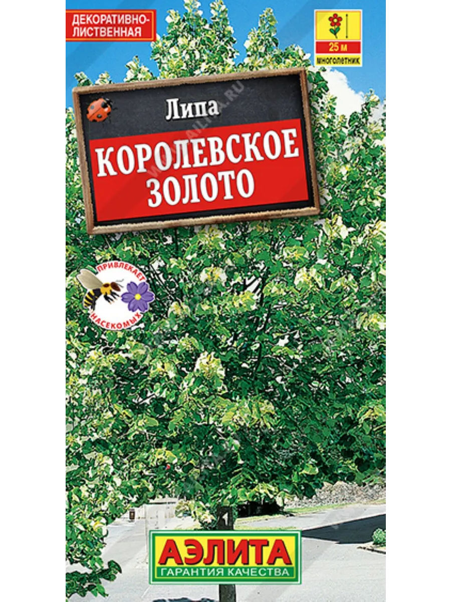 Липа Королевское золото пушистая