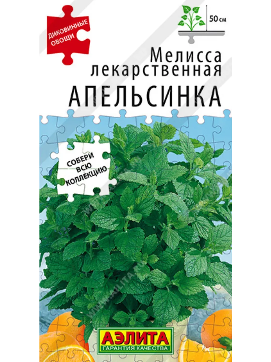 Мелисса Апельсинка лекарственная