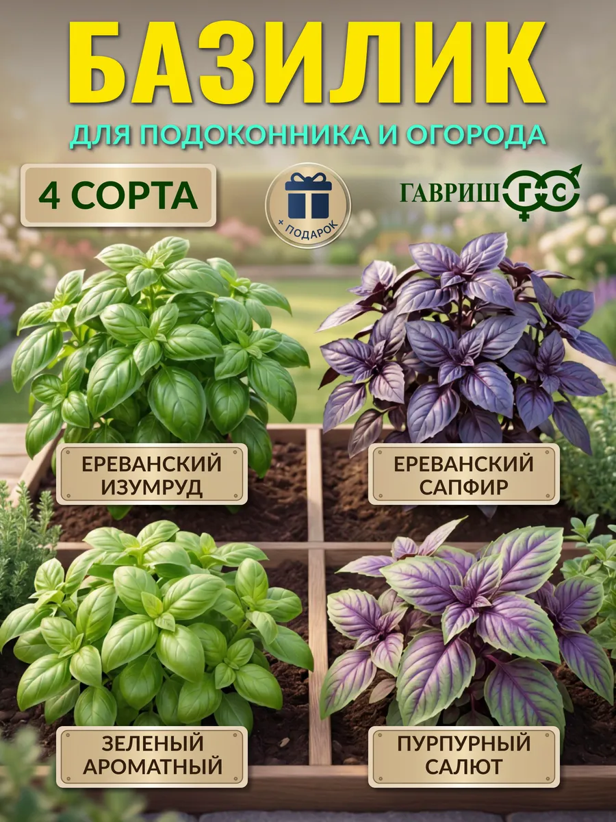 Семена базилика фиолетовый, зеленый для посадки