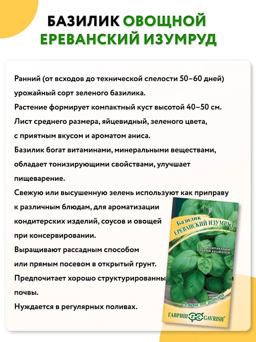 ГАВРИШ Семена базилика фиолетовый, зеленый для посадки, зеленый, фото 4