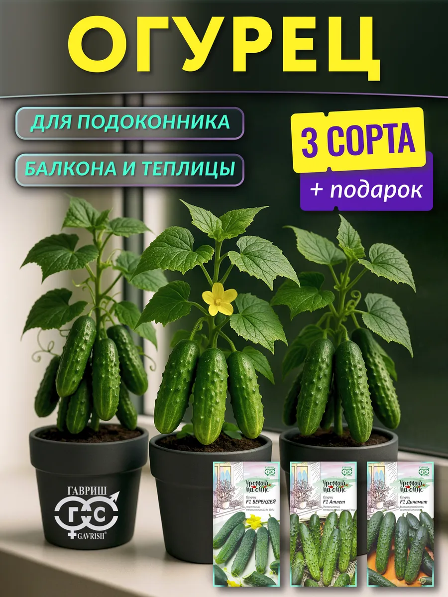 Семена огурцов для подоконника самоопыляемые