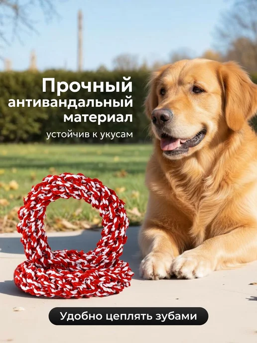 Усатый Рекс Крепкий канат для собак 21см, красный, фото 2