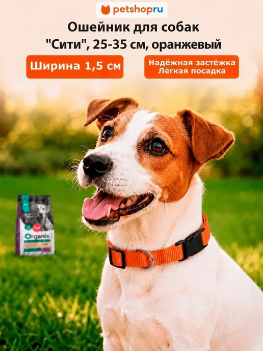 PetShop Ошейник Сити для собак оранжевый 15мм обхват 25-35см Yami, оранжевый