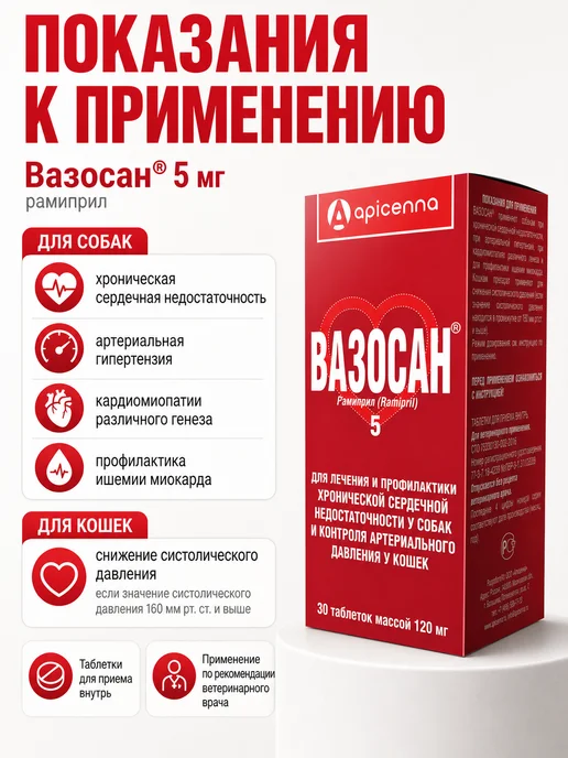 apicenna Таблетки Вазосан 5 мг 30 таб. Срок по 30.10.2026, вариант, фото 2