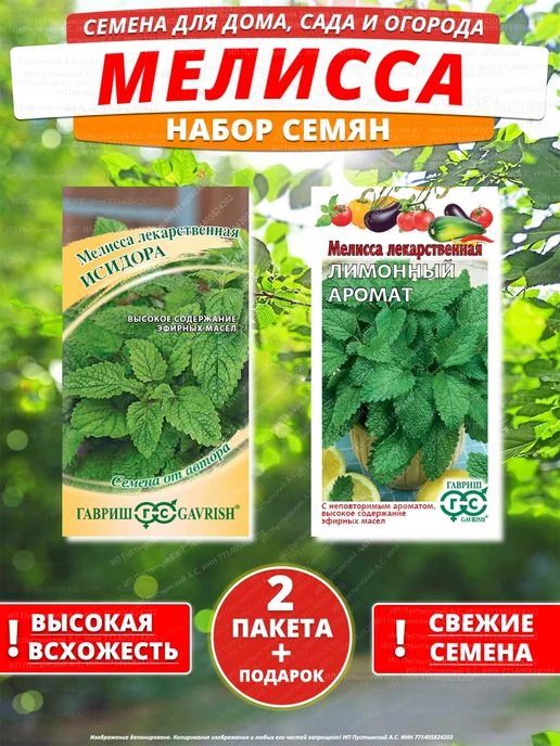 Семена мелисса для сада дачи посадки, вариант