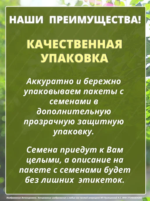 Семена мелисса для сада дачи посадки, вариант, фото 5