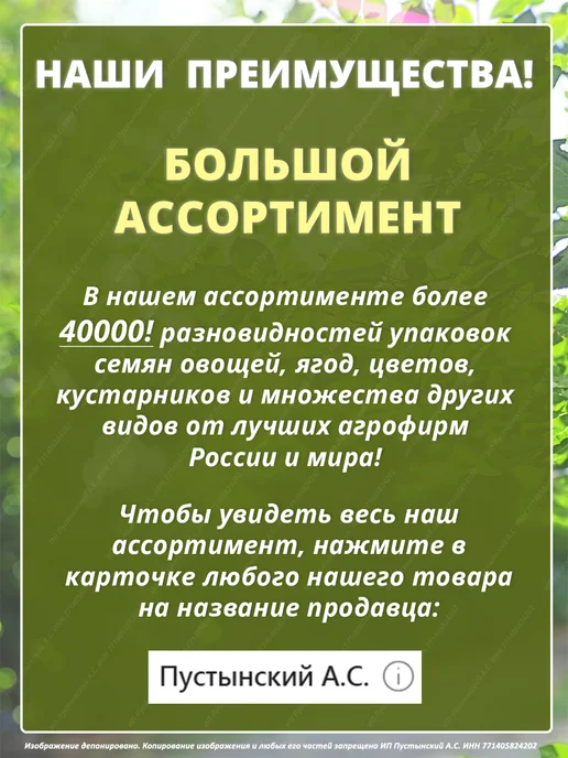Семена мелисса для сада дачи посадки, вариант, фото 6