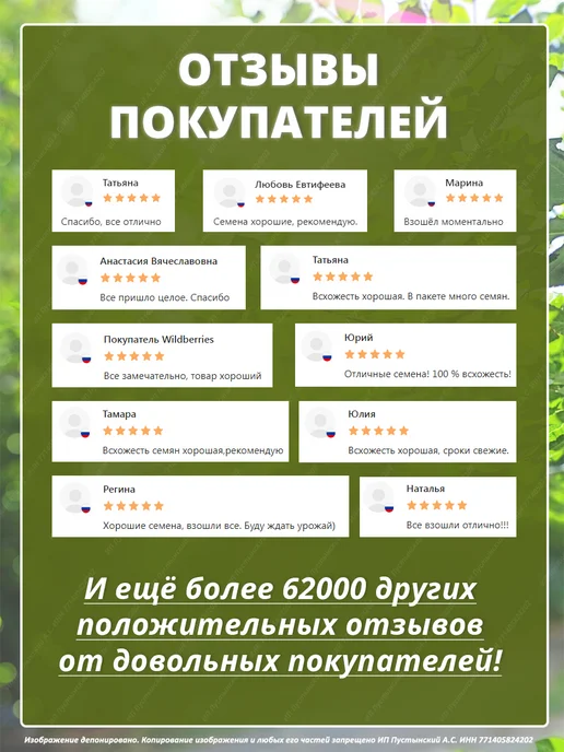 Семена мелисса для сада дачи посадки, вариант, фото 8