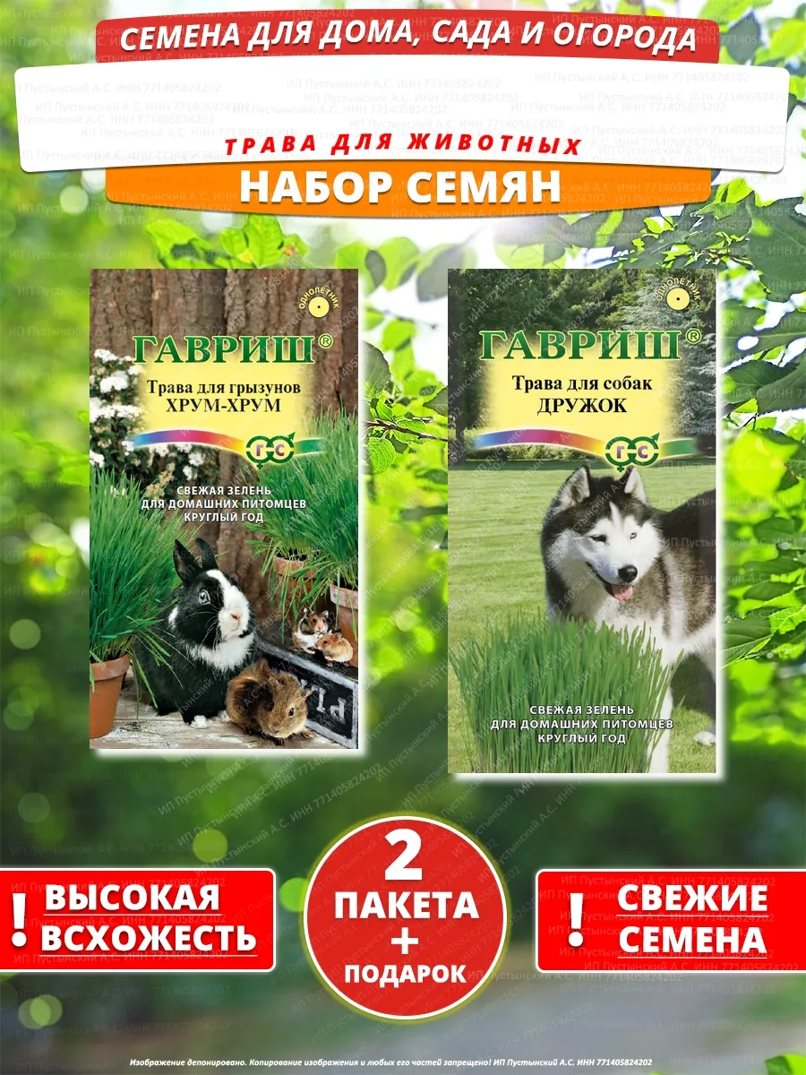 Семена трава для животных для дома сада посадки