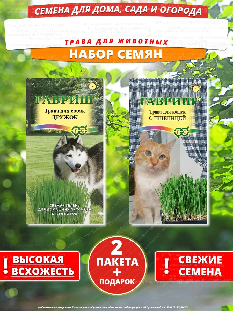 Семена трава для животных для дома сада посадки