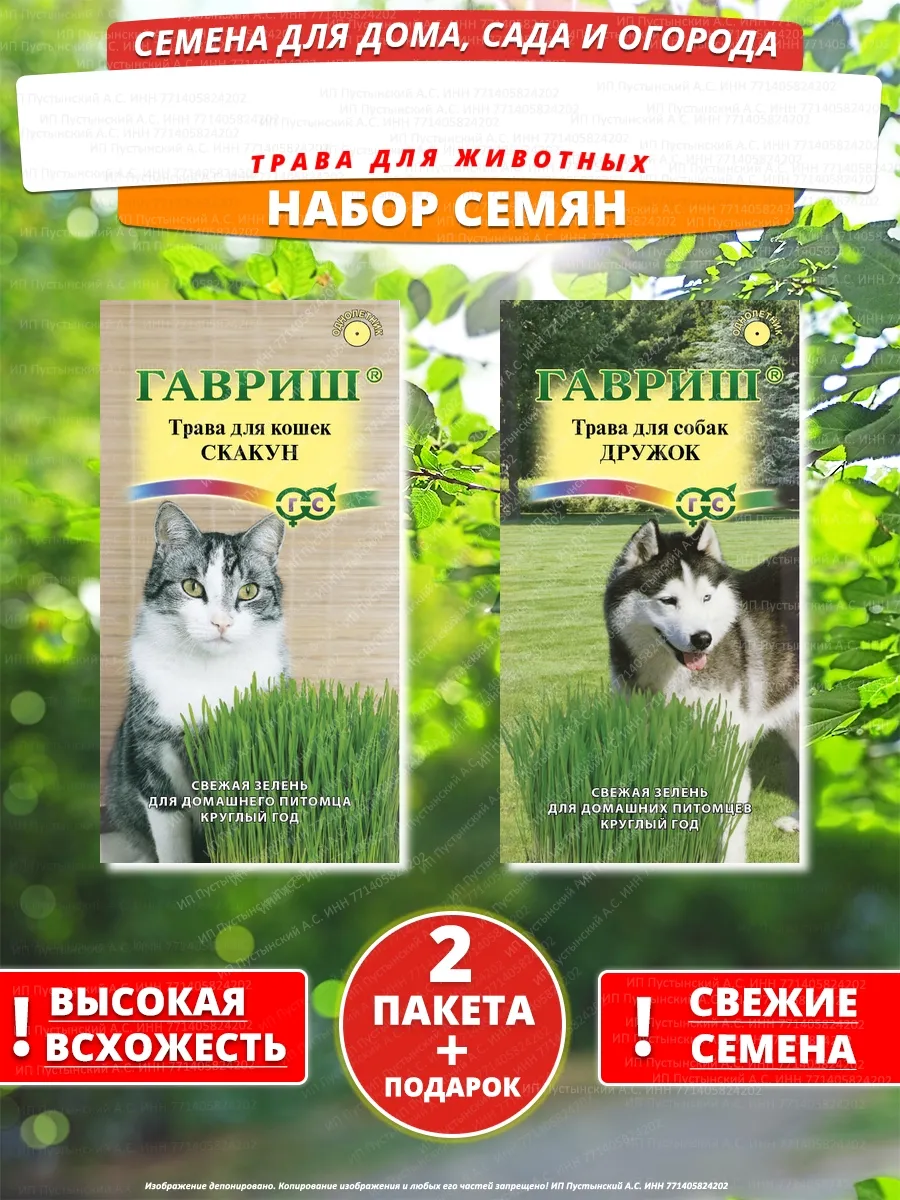 Семена трава для животных для дома сада посадки