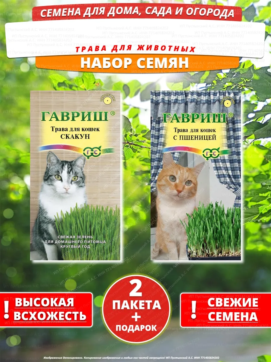 Семена трава для животных для дома сада посадки